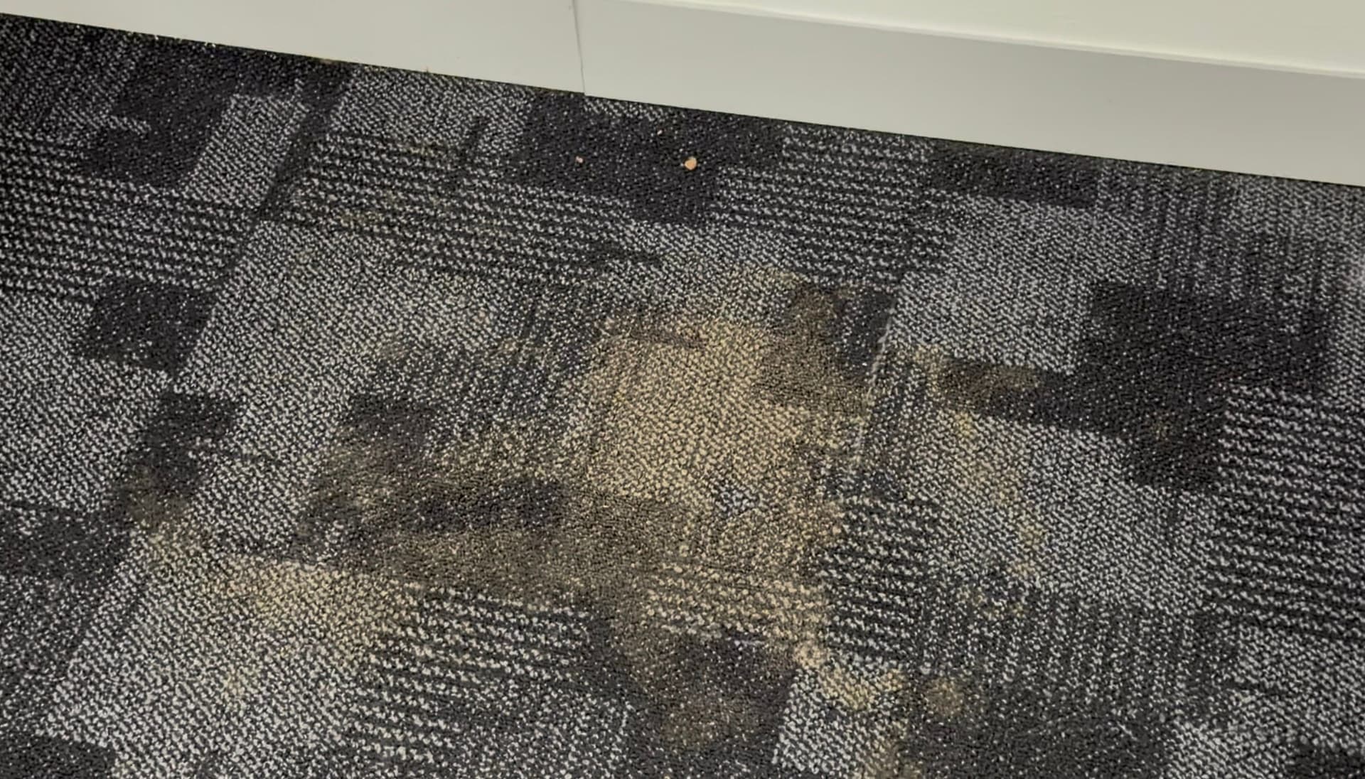 Before & After Carpet Cleaning Results gallery - Item 1