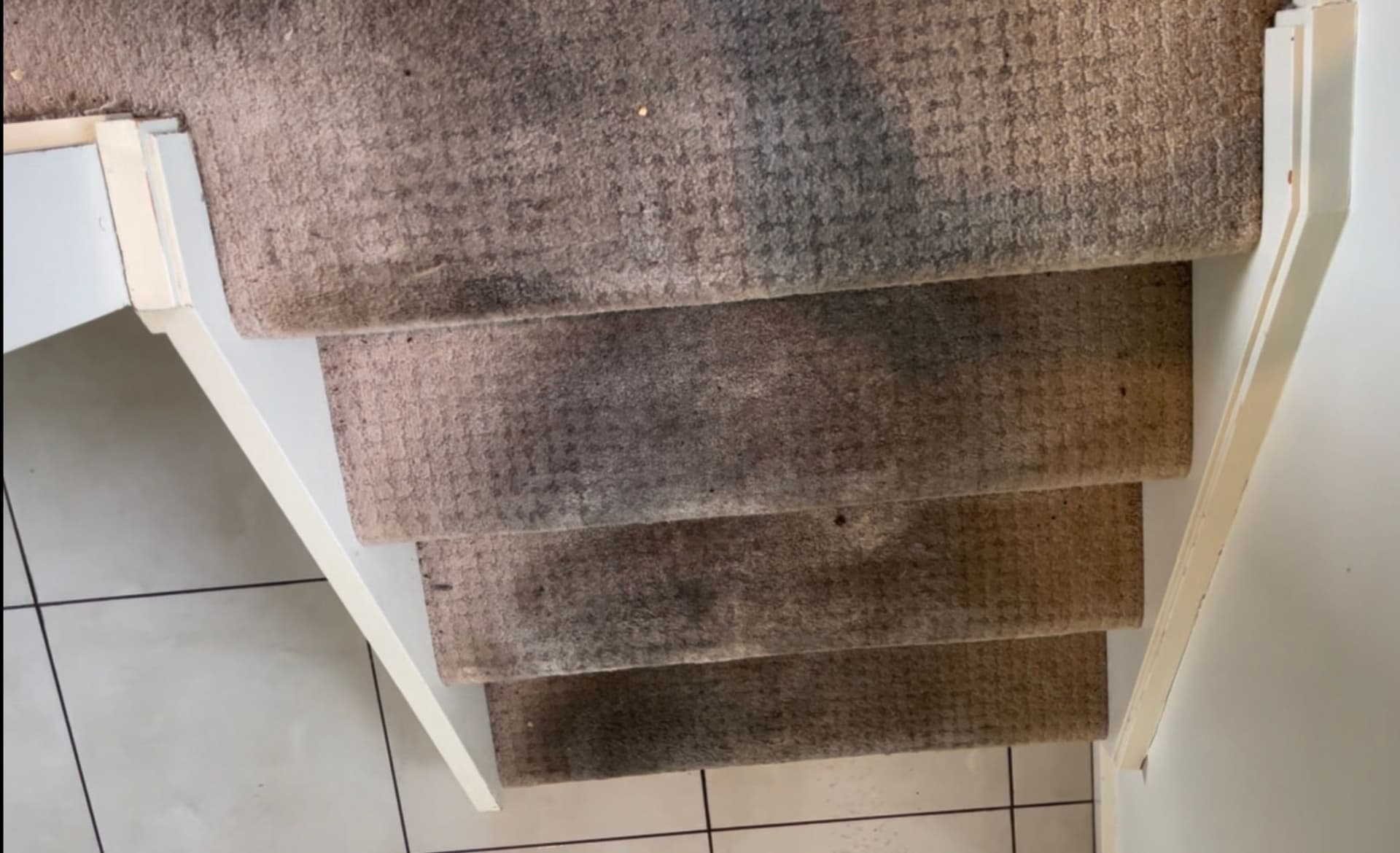 Carpet Before Steam Cleaning