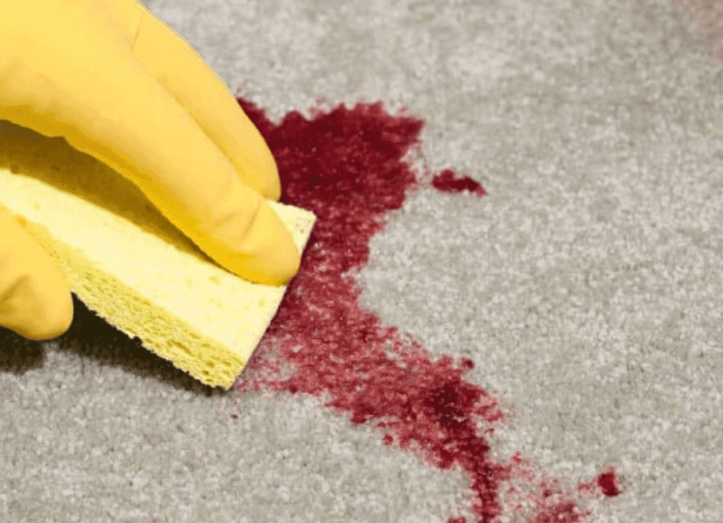 BEFORE photo — soiled carpet