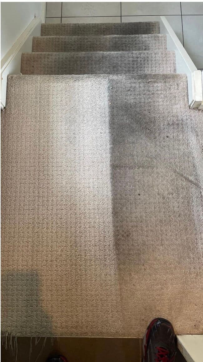 Carpet Stains: The Ultimate Guide to Removal & Prevention