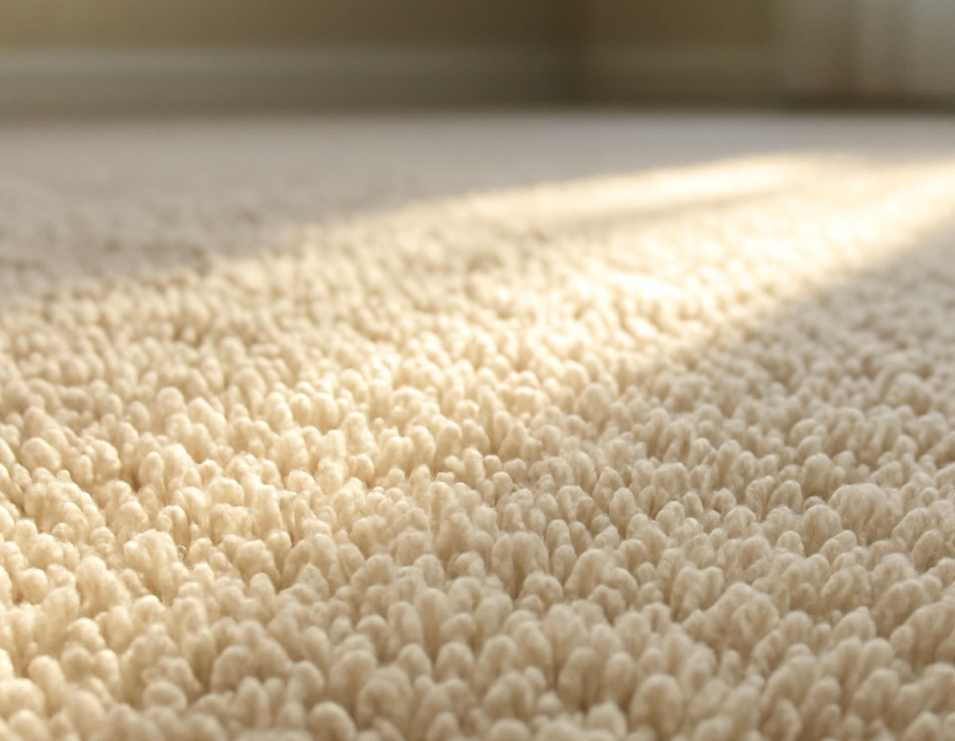 Professional rug and carpet cleaner near me service in Canberra ACT restoring soft, fresh, and deeply cleaned carpet fibres.