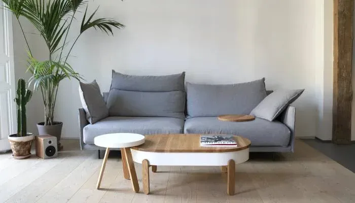 Encapsulation Carpet Cleaning: A Professional Low-Moisture Solution