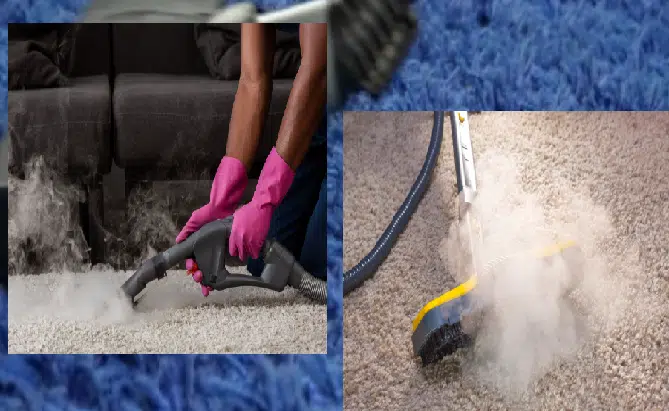 Professional carpet cleaner using steam cleaning technology to deep clean and sanitize carpets