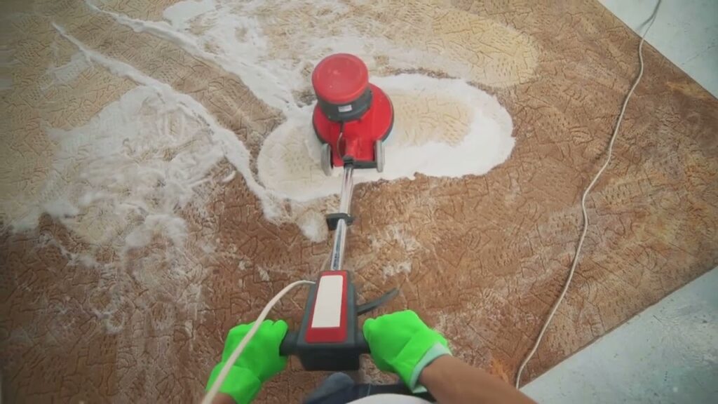 aussie duo cleaning steam clean