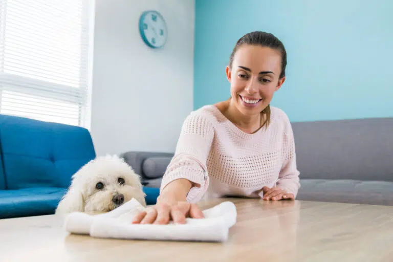 A cheerful cleaner wiping down a table in a spotless living room with a fluffy dog watching, showcasing Reliable Aussie Duo Cleaning Service for Homes & Businesses.