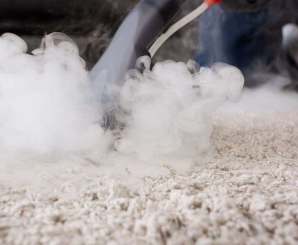 A steam cleaner emitting visible steam on a plush beige carpet.